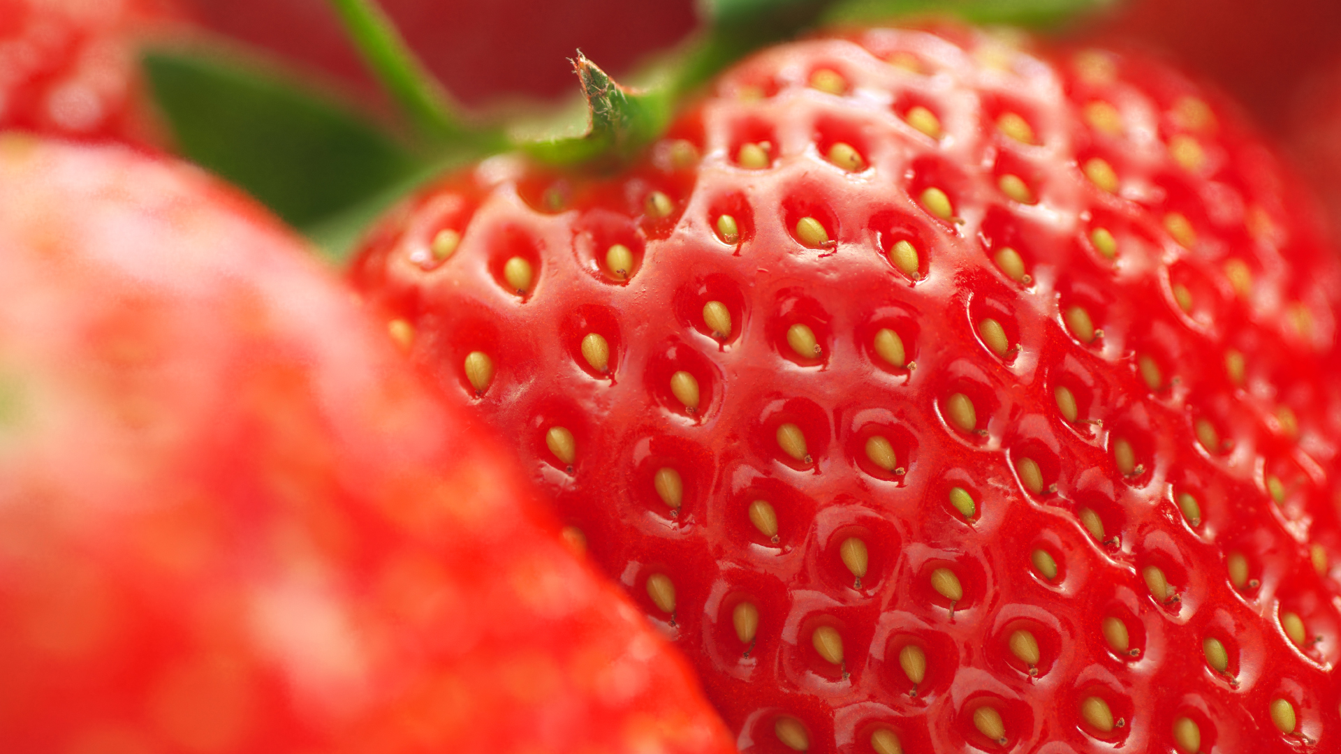 Detaillierte Macro-Aufnahme einer Erdbeere