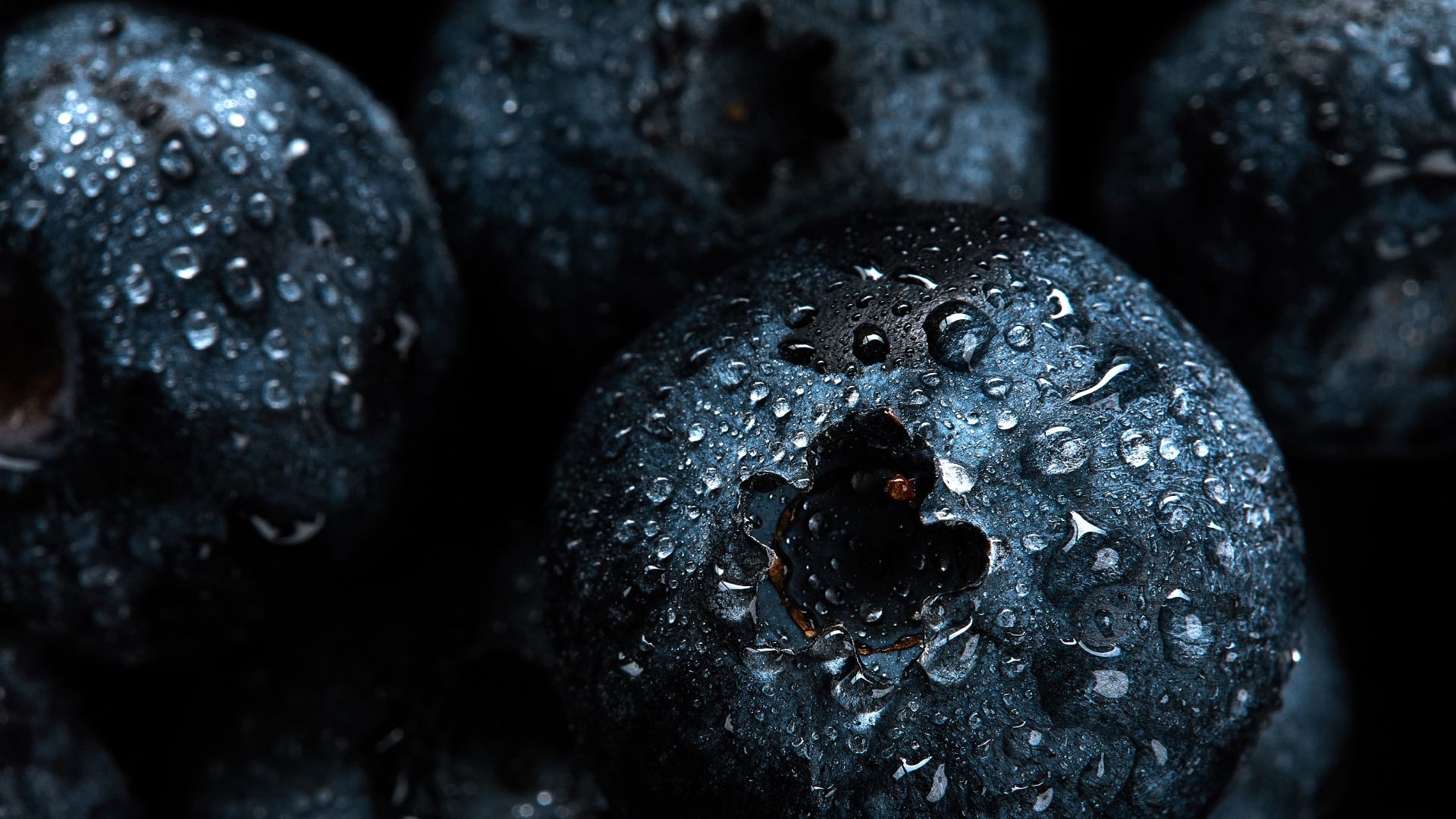 Detaillierte Macro-Aufnahme einer Blaubeere