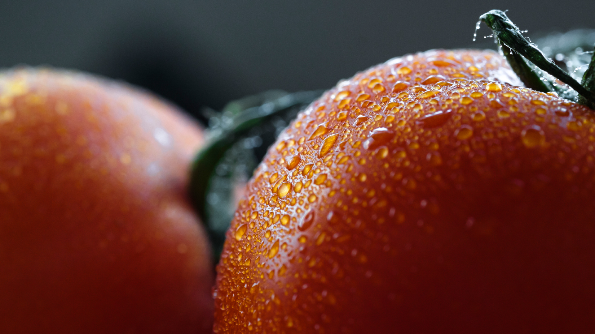 Detaillierte Macro-Aufnahme einer Tomate