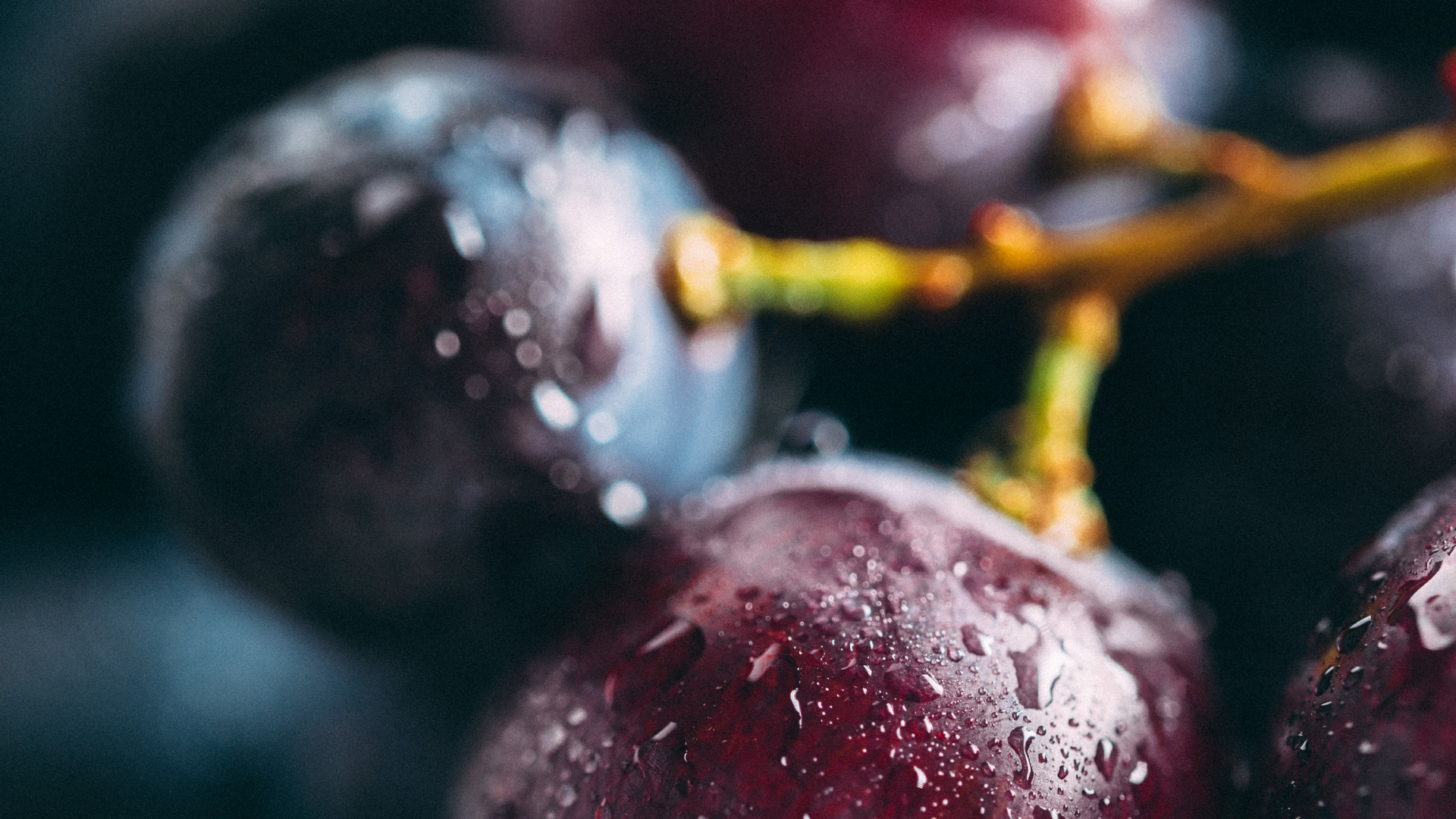 Detaillierte Macro-Aufnahme einer Traube