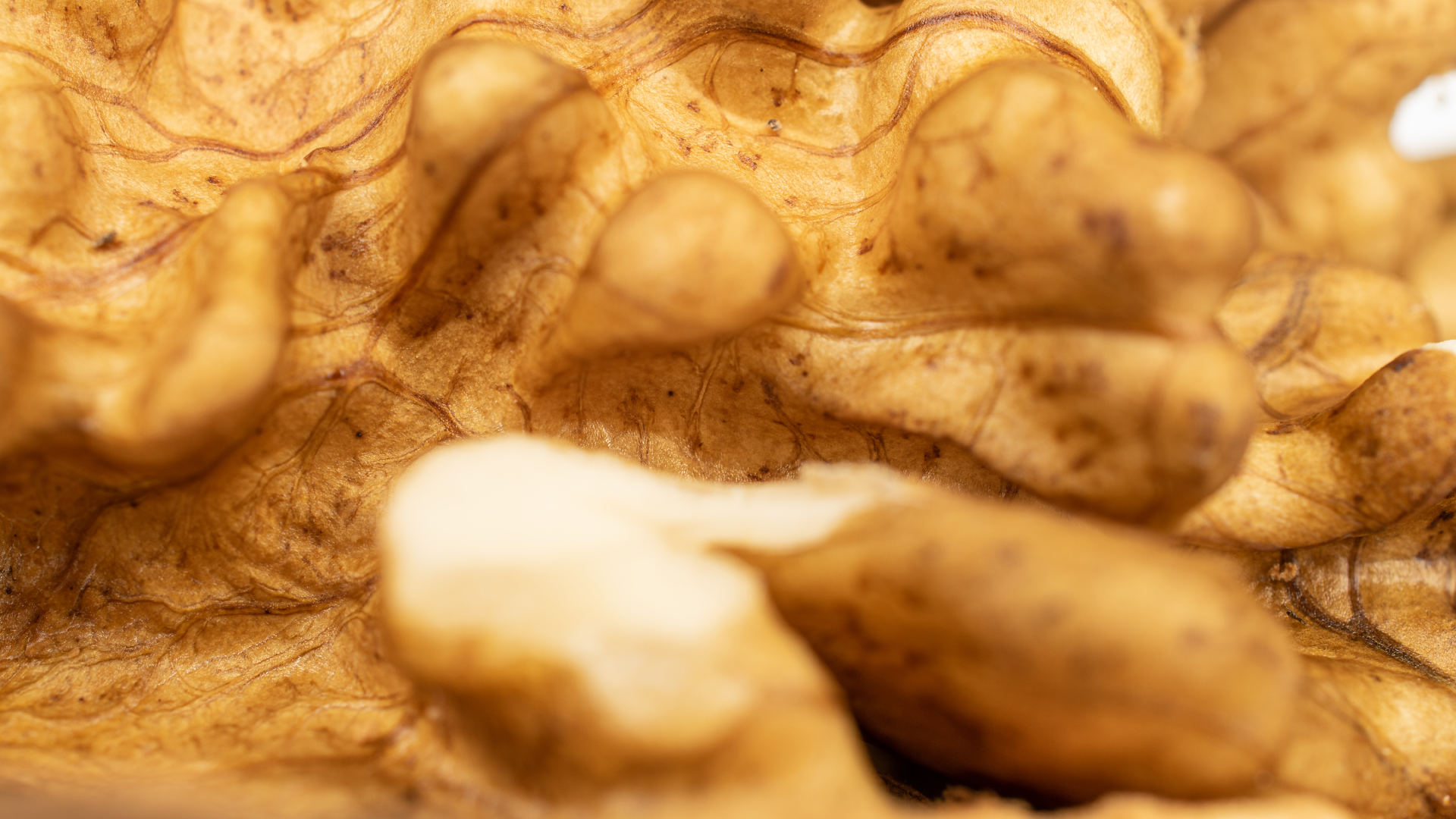 Detaillierte Macro-Aufnahme einer Walnuss